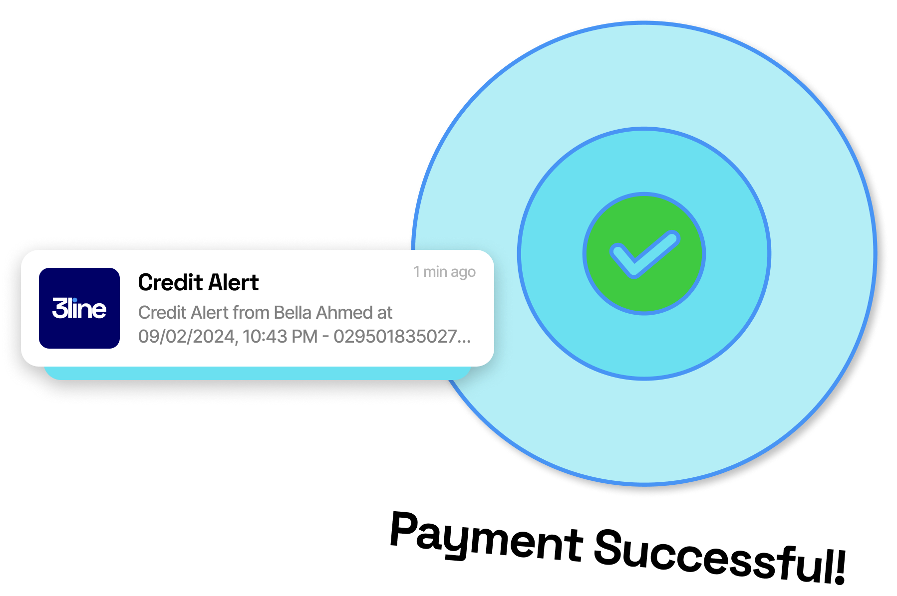 Payment Links